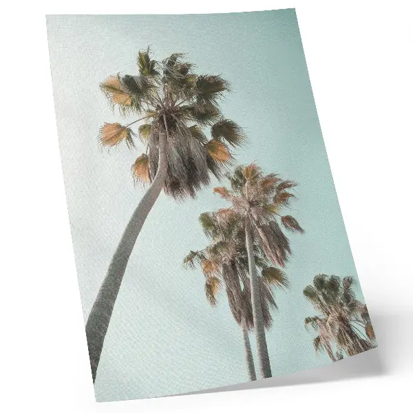 Poster palm trees against a delicate blue sky