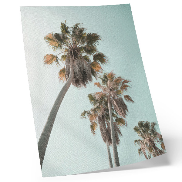 Poster Palm trees delicate blue sky exotic