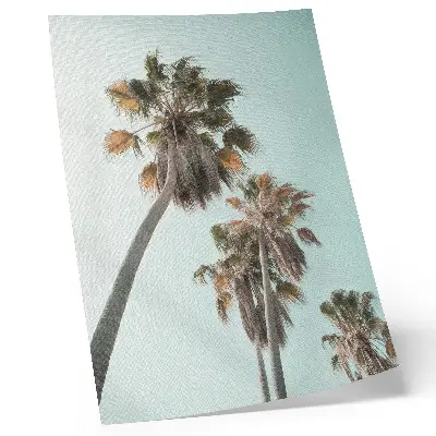 Poster palm trees against a delicate blue sky