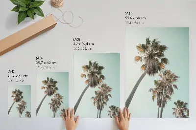 Poster palm trees against a delicate blue sky