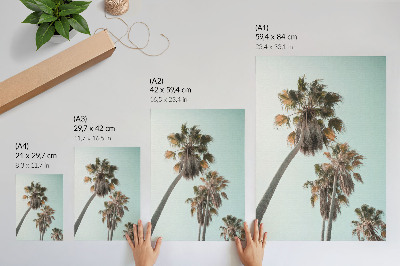 Poster Palm trees delicate blue sky exotic