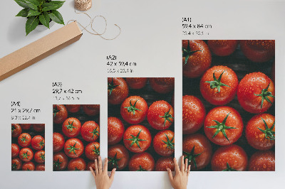 Decorative poster Juicy tomatoes with drops of water