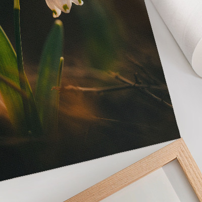 Decorative poster Snowdrop green leaves warm light