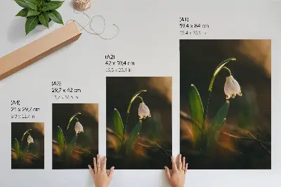 Decorative poster snowdrop green leaves with warm light
