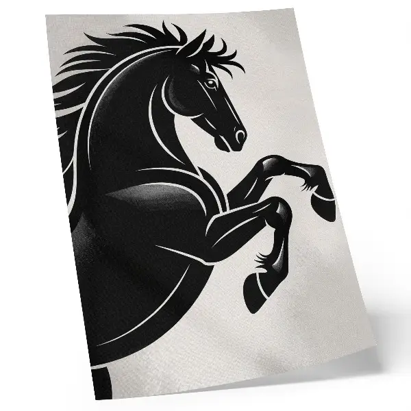 Decorative poster black and white modern dynamism contrast print