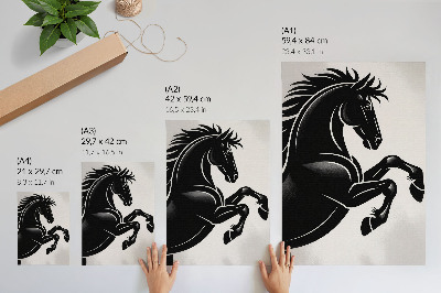 Decorative poster Black and white contrast modern dynamism