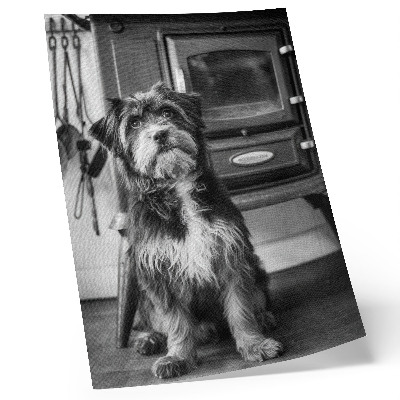 Art print A calm black and white dog by an old stove