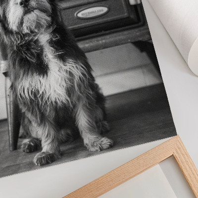 Art print A calm black and white dog by an old stove