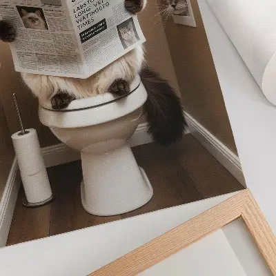 Cat with newspaper poster beige wall humor and warmth
