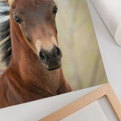 Decorative poster A horse with a crown against a neutral background
