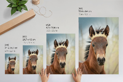 Decorative poster A horse with a crown against a neutral background