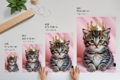 Poster Kitten crown pink blue eyes decoration