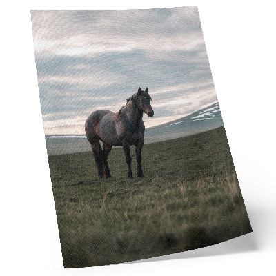 Premium wall art Horse in the meadow, clouds, morning, harmony of nature