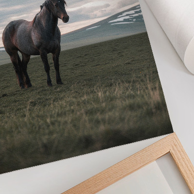 Premium wall art Horse in the meadow, clouds, morning, harmony of nature