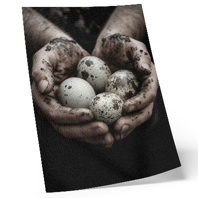 Poster Earthy hands and quail eggs full of contrast