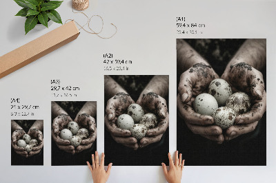 Poster Earthy hands and quail eggs full of contrast