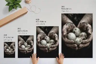 Earthy hands and quail eggs poster with high contrast aesthetic