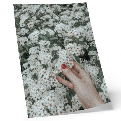Art print White flowers green hand red nails