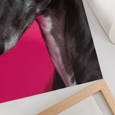 Decorative poster A black and white dog on an intense pink background