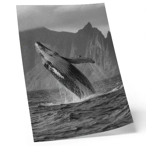 Premium wall art jumping whale with mountains in the background