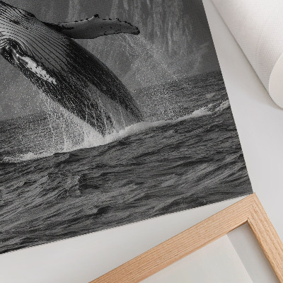 Premium wall art A photo of a jumping whale with mountains in the background.