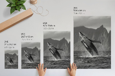 Premium wall art A photo of a jumping whale with mountains in the background.