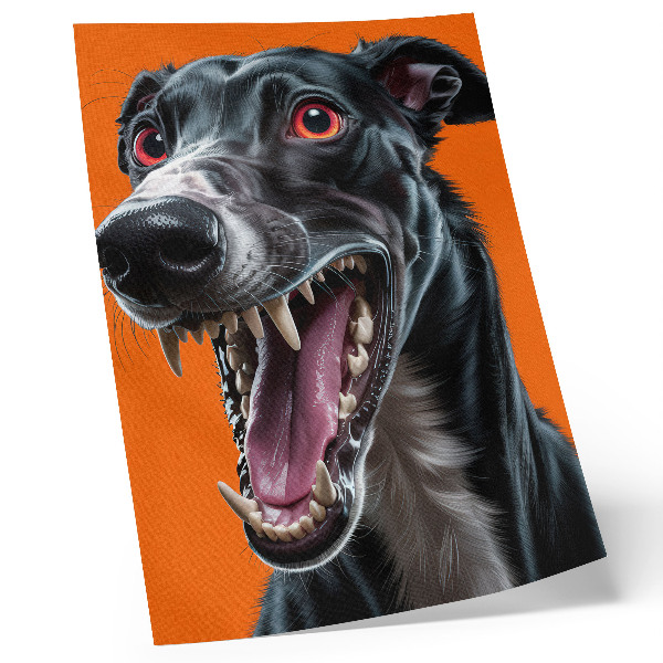 Poster Black fur orange background expressive details