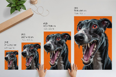 Poster Black fur orange background expressive details