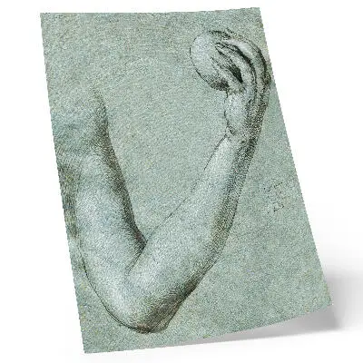 Eve's Arm (1507) by Albrecht Dürer decorative poster