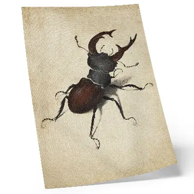 The Stag Beetle by Albrecht Dürer 1505 art poster