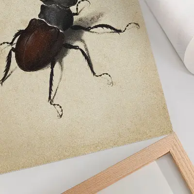 The Stag Beetle by Albrecht Dürer 1505 art poster