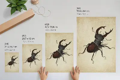 The Stag Beetle by Albrecht Dürer 1505 art poster