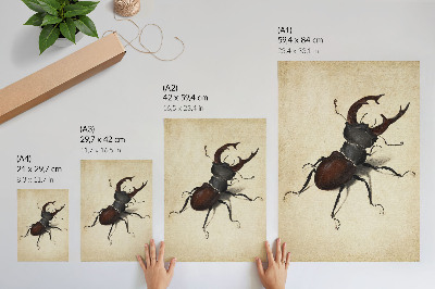 Poster The Stag Beetle by Albrecht Dürer (1505)