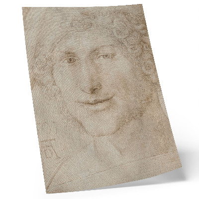 Premium wall art Head of a Young Man (1503) by Albrecht Dürer