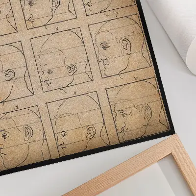 Poster twelve human profiles in outline after a drawing by Albrecht Dürer, ca. 1794