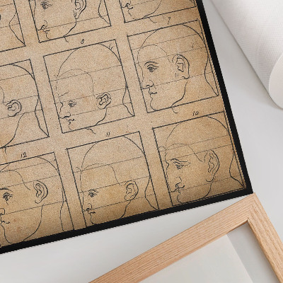 Poster Twelve human profiles in outline - drawing by Albert Dürer, ca. 1794