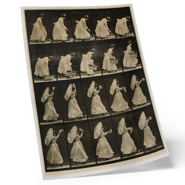 Decorative poster Woman Lifting a Basket, Waving a Handkerchief (ca. 1887), by Eadweard Muybridge