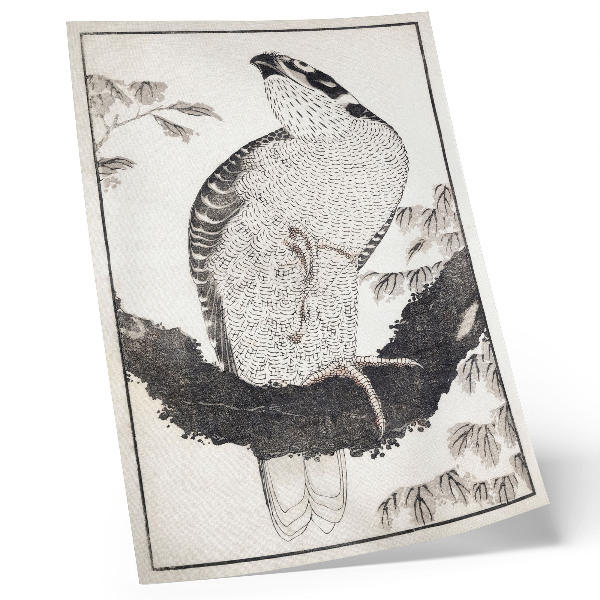 Decorative poster Katsushika Hokusai's Bird from the Album of Sketches (1814), vintage Japanese woodblock print