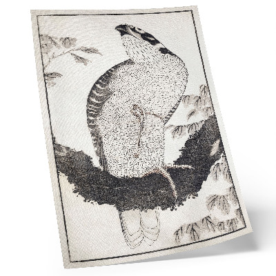 Decorative poster Katsushika Hokusai's Bird from the Album of Sketches (1814), vintage Japanese woodblock print