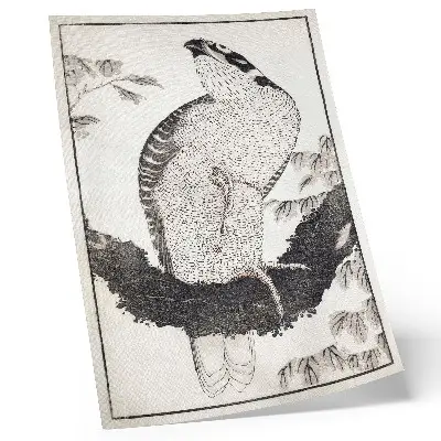 Katsushika Hokusai Bird Decorative Poster vintage Japanese woodblock print from the Album of Sketches (1814)