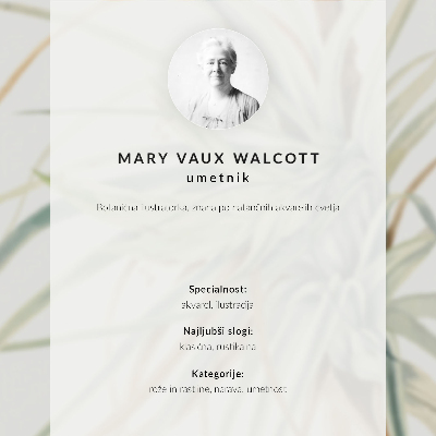 Poster Wild Pineapple (Tillandsia fasciculata) (1921) by Mary Vaux Walcott