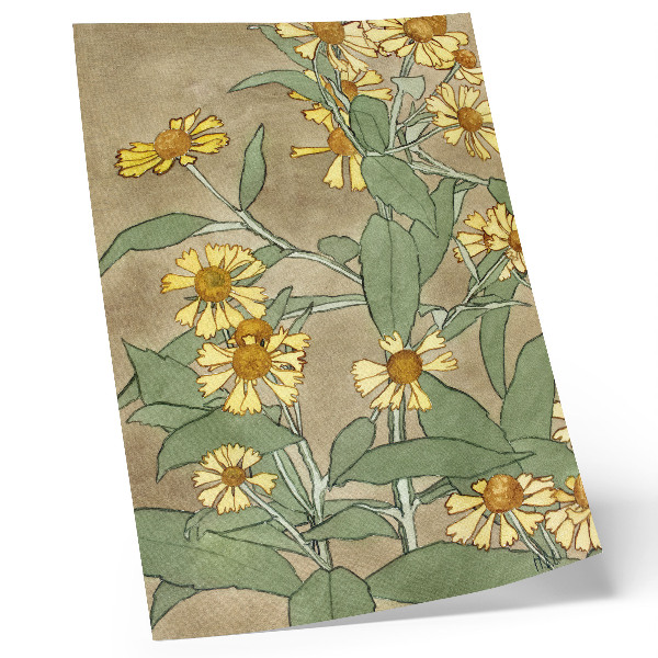 Art print Daisies with Orange Center and Yellow Petals (1915), Hannah Borger Overbeck