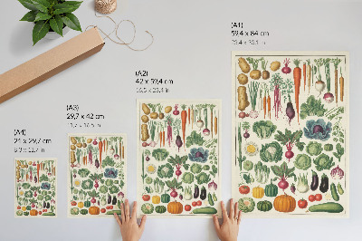 Poster Vegetables of various kinds and colors