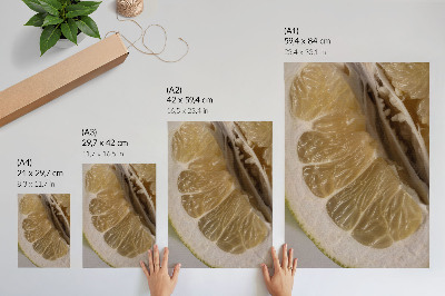 Decorative poster A citrus slice with juicy segments