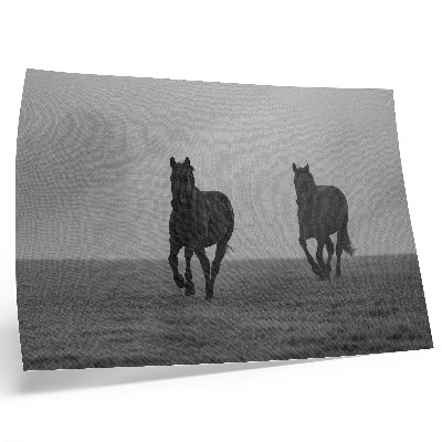 Decorative canvas print Horses running, gentle fog, peaceful space