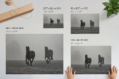 Decorative canvas print Horses running, gentle fog, peaceful space