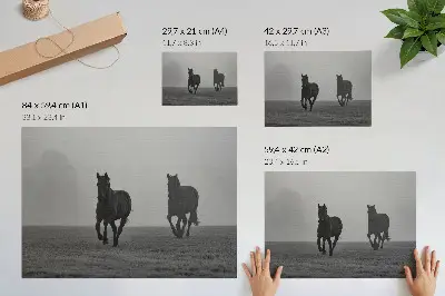 Decorative canvas print horses running in a gentle fog for a peaceful space