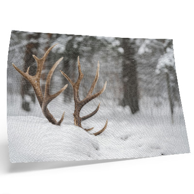 Photo canvas Antlers in the snow winter forest natural peace