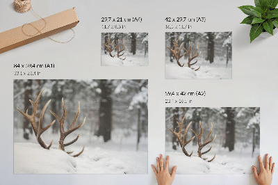 Photo canvas Antlers in the snow winter forest natural peace