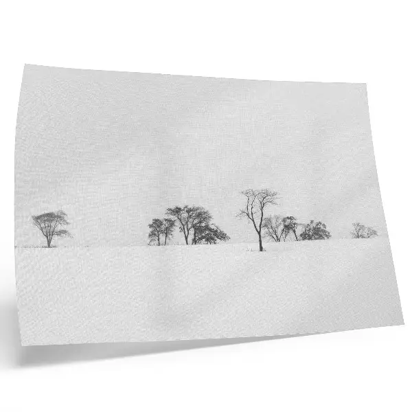 Poster minimalist winter forest scenery